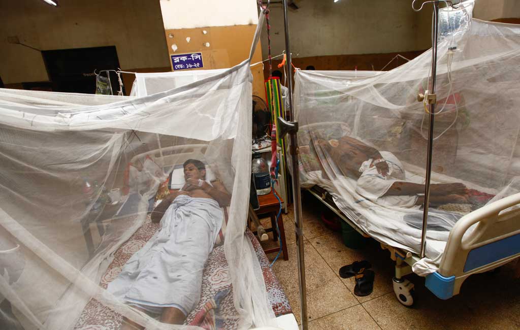Confirmed Dengue Death Toll Rises To 23 In Bangladesh