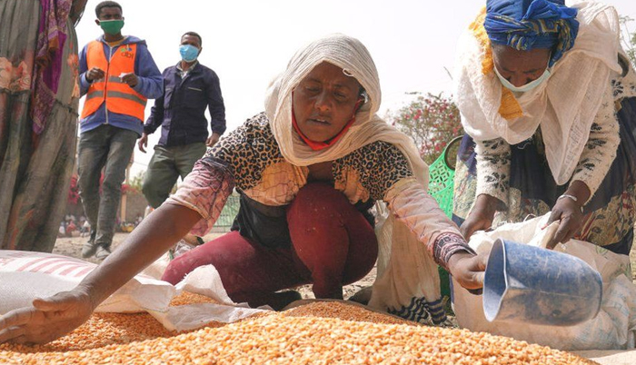 Update Ethiopia-Tigray crisis: Doctors among those begging for food in Tigray