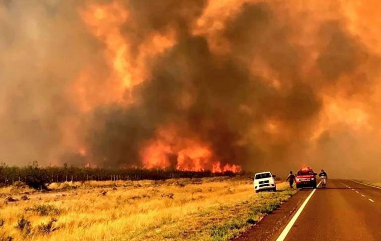 Argentine Patagonia hit by devastating fire covering over 80,000 hectares