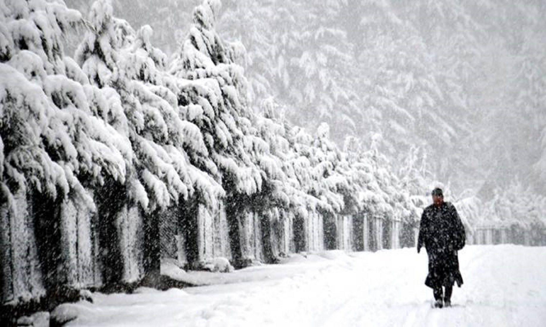 Road, Air Traffic Suspended As Heavy Snowfall Hits Indian-Controlled Kashmir