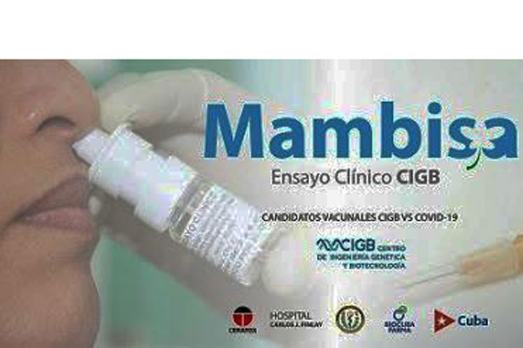 Covid-19: Clinical trials of Cuba’s Mambisa vaccine candidate are advancing