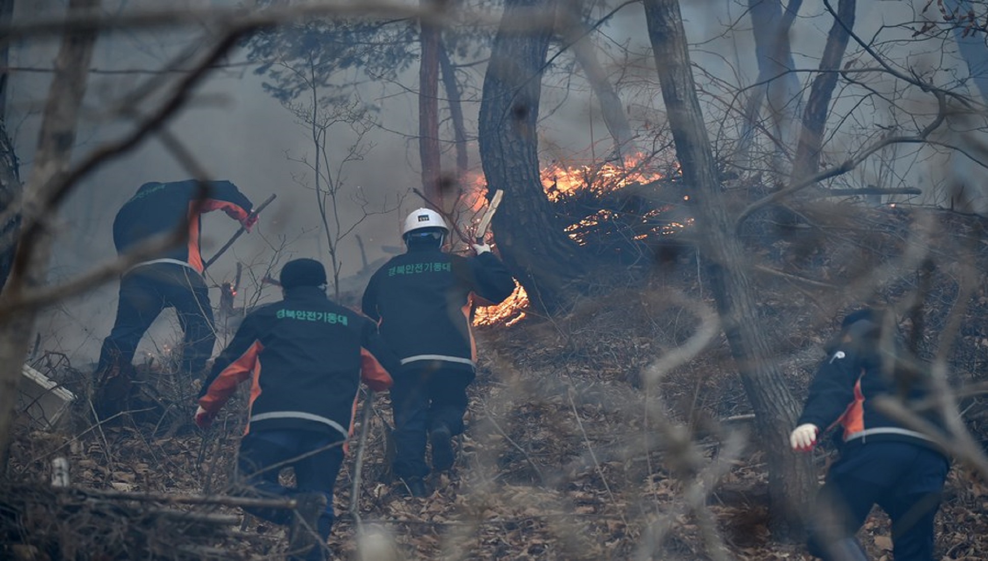 180 Households Evacuated As Forest Fire Burns In S. Korea