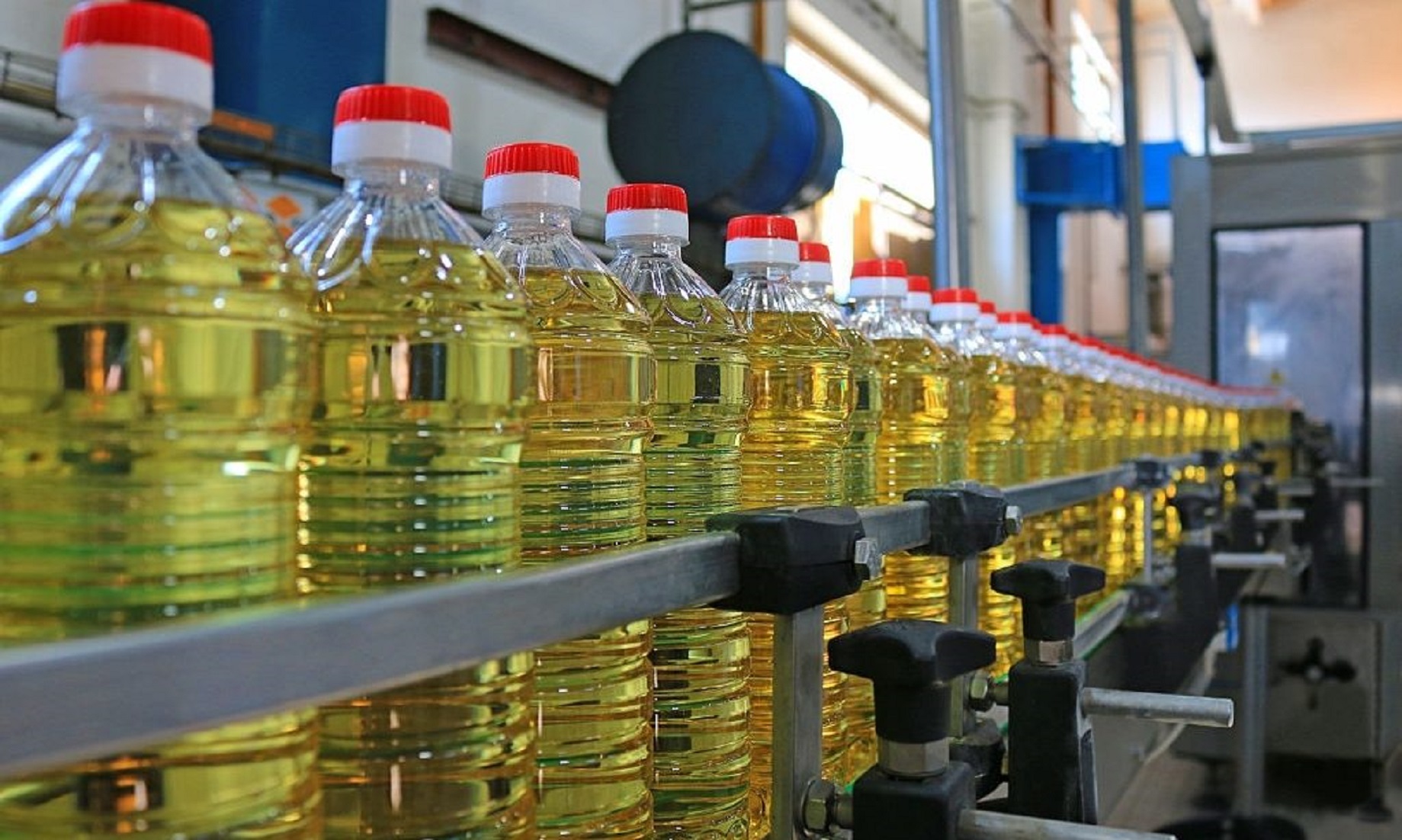 Cooking Oil Plant Resumes Production In Northern Afghanistan