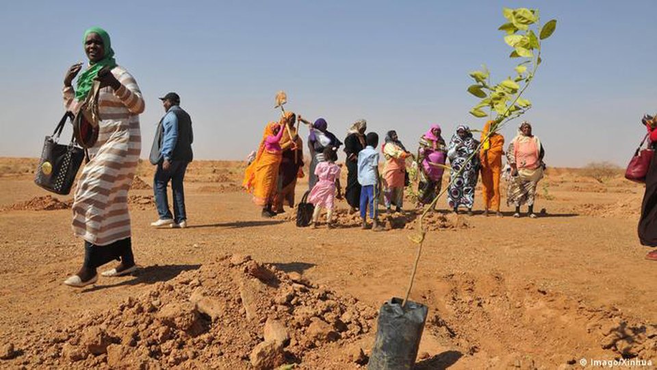 African nations forced to spend on climate adaptation: study