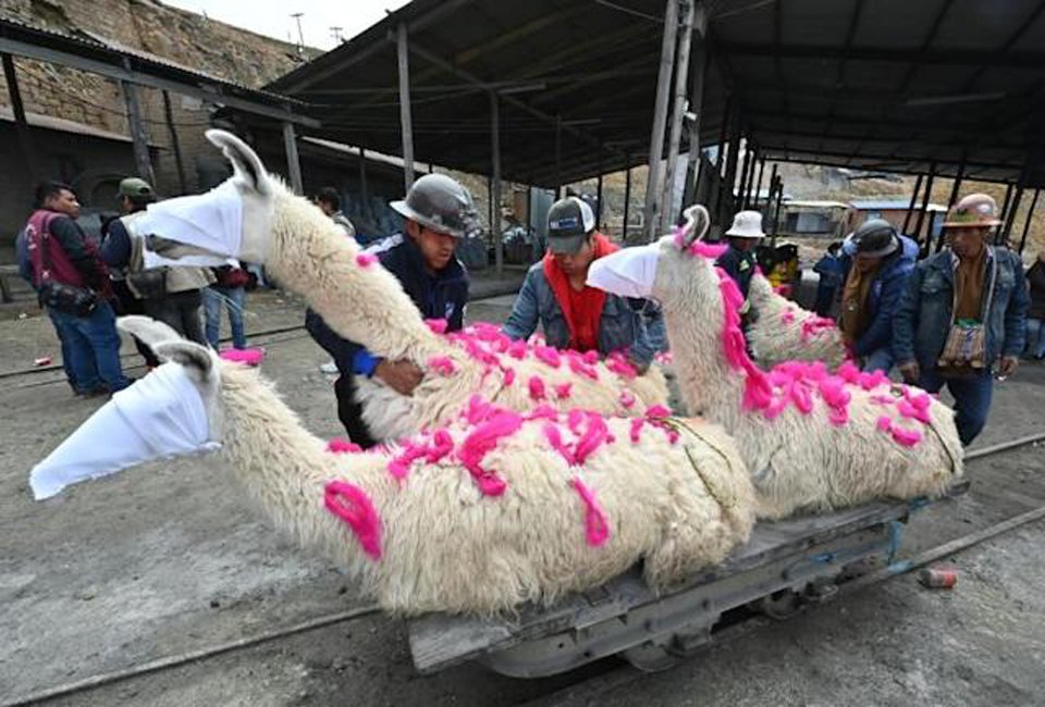 In Bolivia, miners sacrifice llamas to appease ‘Lord of the Underworld’