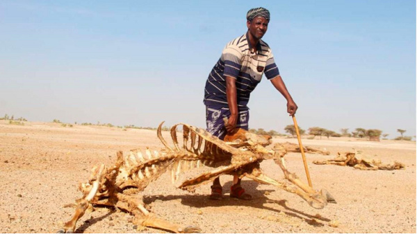 2.8 million Kenyans face hunger as drought rages on