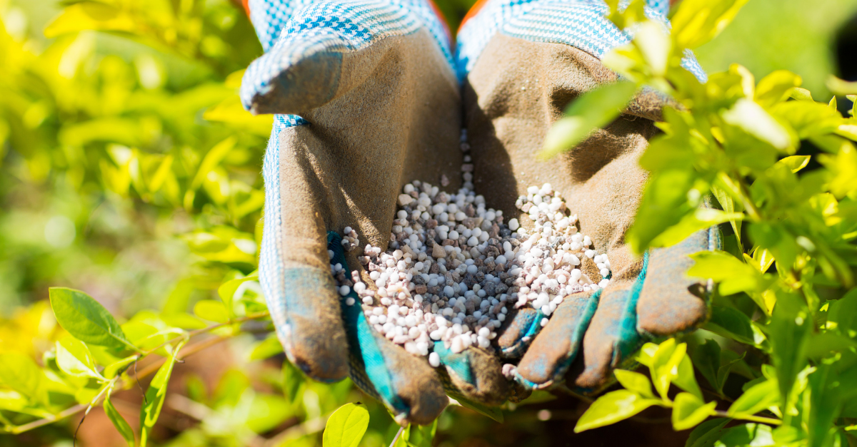 Brazil launches national plan to cut reliance on fertilizer imports