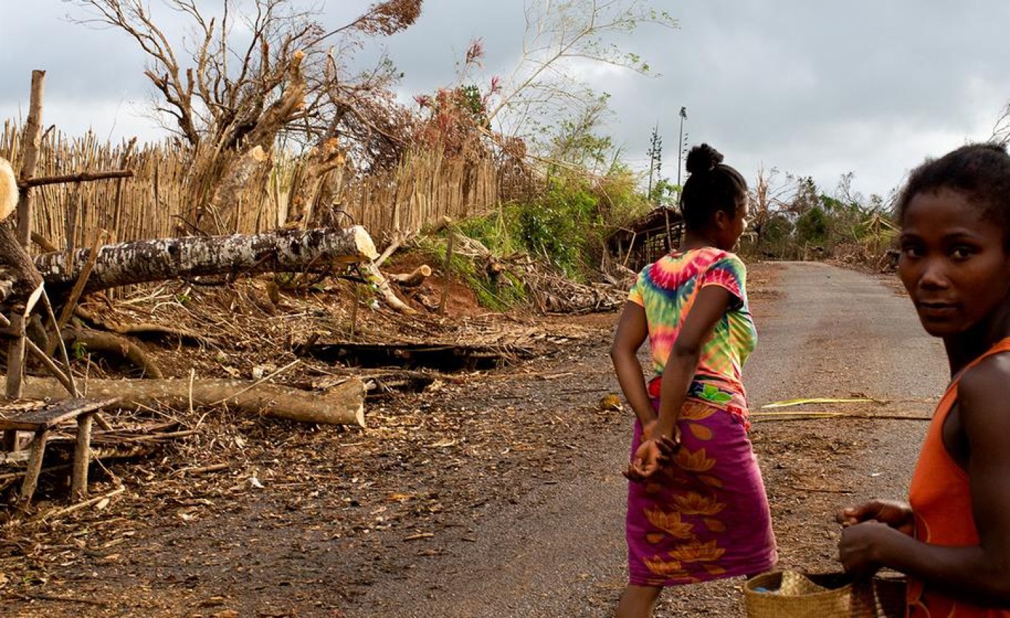 Tropical cyclone disasters: Red Cross calls on Seychelles to donate food and basic commodities for devastated Madagascar