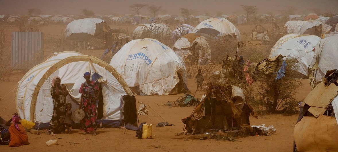 NE Africa drought threatens to be worst in 40 years: UN