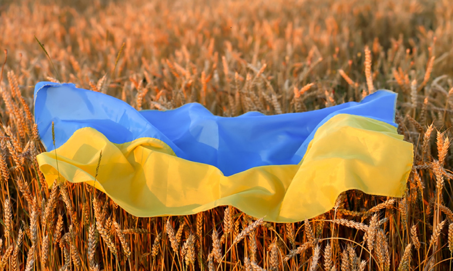 World Food Prices Reach All-Time High Over Supply Issues, Ukraine Crisis