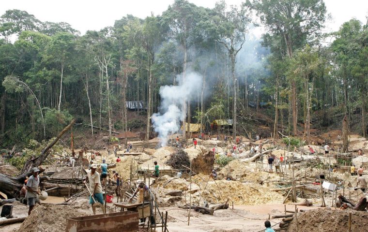 Native Brazilians to tell UN violence, illegal mining on the rise