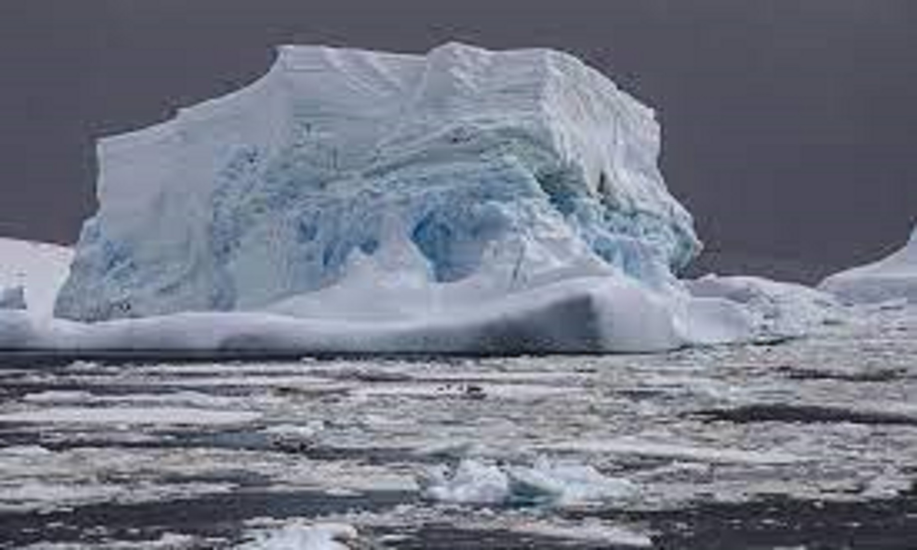 Glaciers Continue To Shrink This Year: New Zealand Scientists