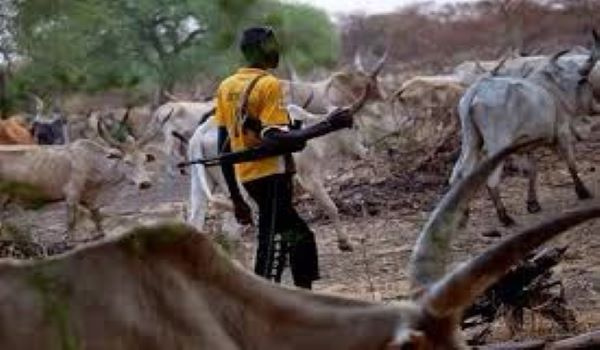 Many farmers feared killed as suspected herdsmen attack Benue community in Nigeria