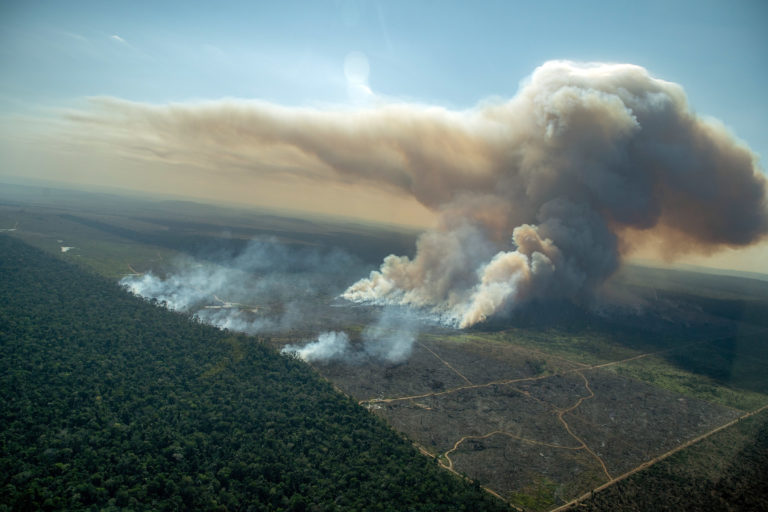 Brazil’s Amazon deforestation sets first-quarter record despite March dip