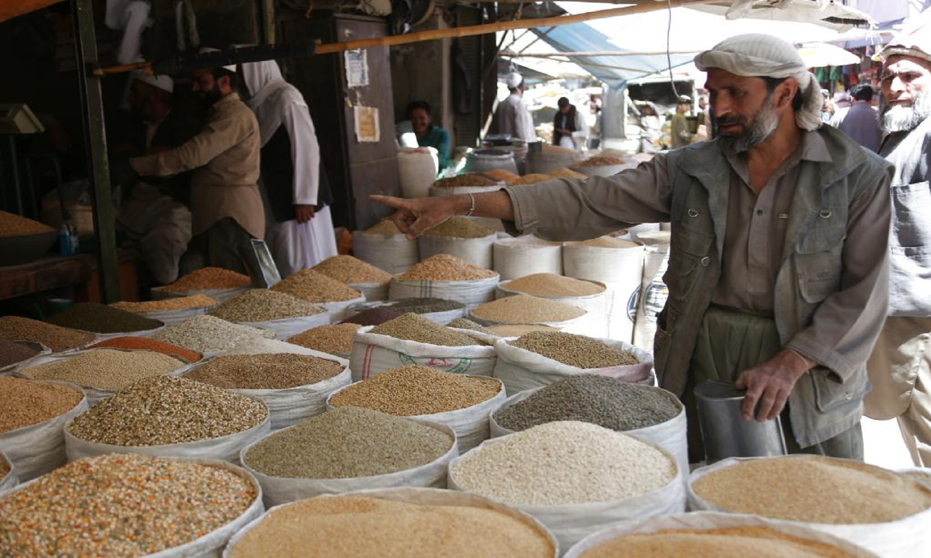 Afghanistan Bans Wheat Export To Meet Local Needs