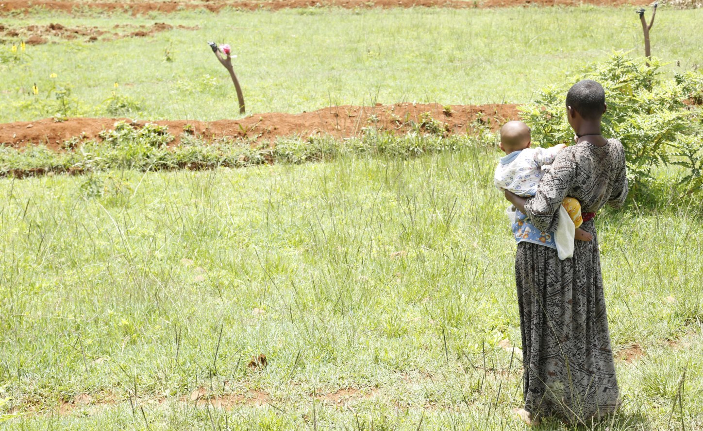 Nigeria to have 29 million child brides by 2050: UNICEF Report