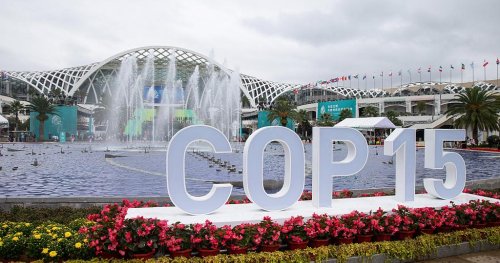 Ivory Coast: President Ouattara sets the agenda at COP15 summit in Abidjan