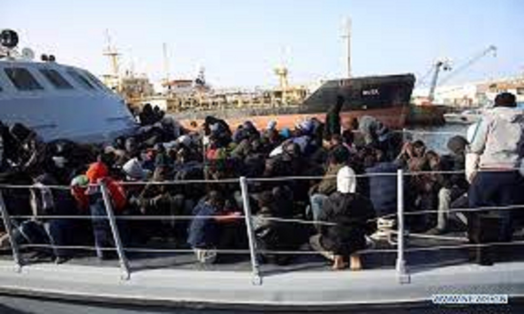 246 Illegal Migrants Rescued Off Libyan Coast Last Week