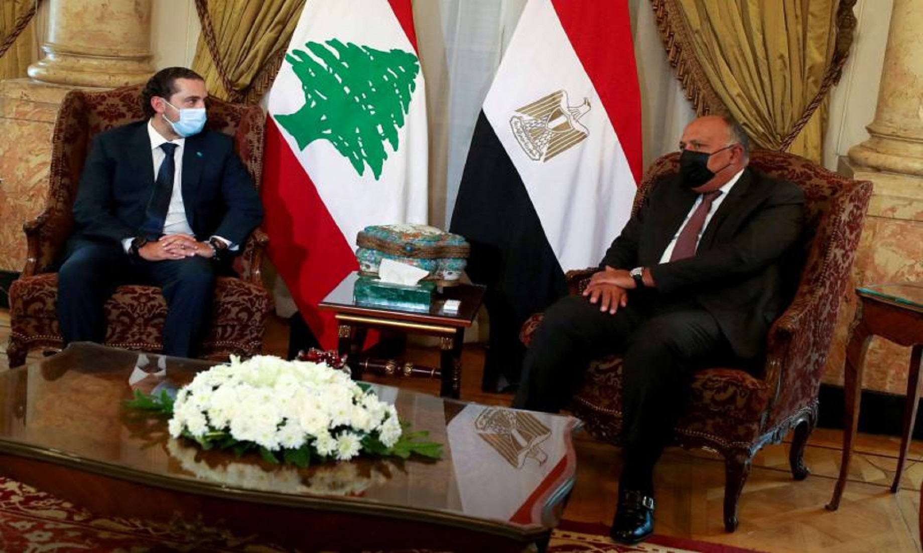 Egypt Vows To Continue Support Crisis-Hit Lebanon: Minister