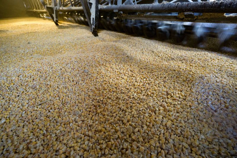 Russia-Ukraine conflict: Turkiye, Russia discuss efforts to restart Ukrainian grain exports