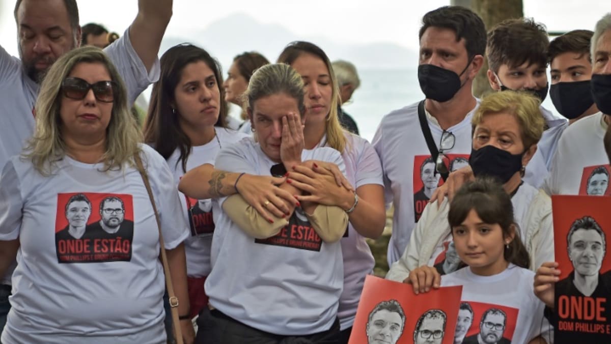 Brazil: Pres Bolsonaro blamed as evidence mounts of Amazon murders