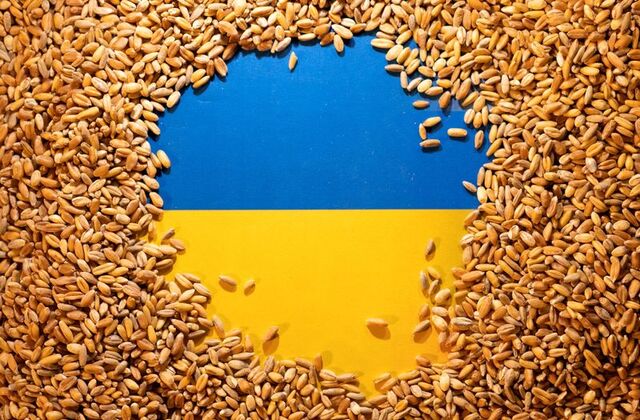 Russia-Ukraine conflict: US Pres Biden touts grain silos on Ukraine border to help exports; Kyiv wants ports open