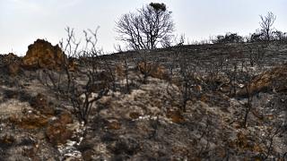 Heatwaves: Out-of-control wildfire burns 19,000 hectares in Spain