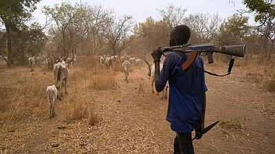 25 killed in South Sudan clashes between suspected cattle rustlers and army