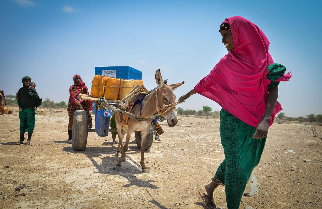 Drought leaves more than 7.2 million people needing food aid in Ethiopia: UNOCHA