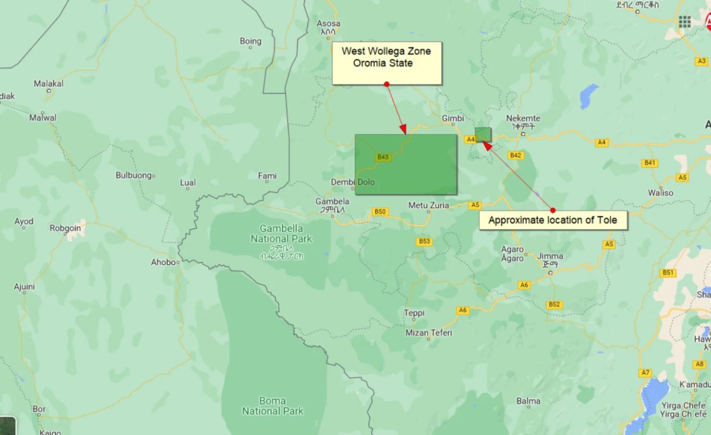 Ethiopia: More than 200 civilians killed in West Wollega violence – Oromia State, armed group trade blame