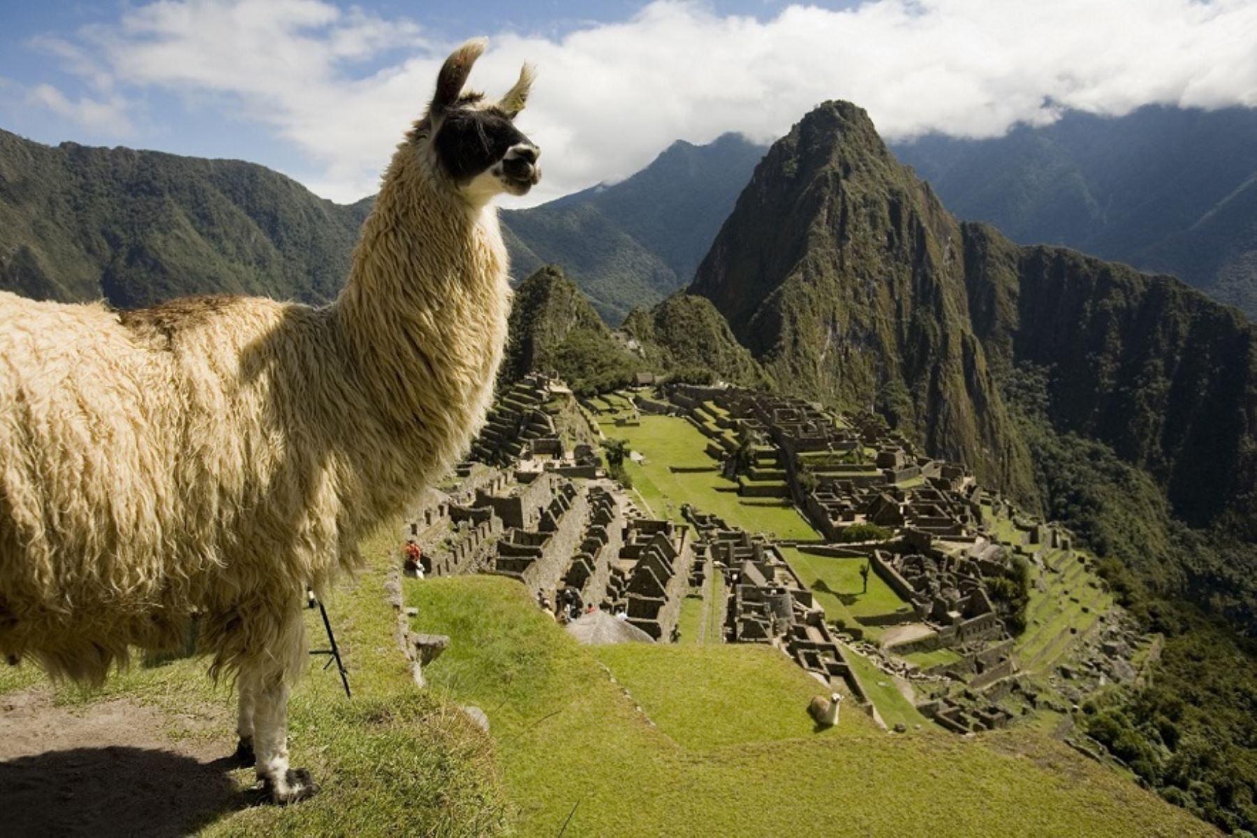 Peru has welcomed over 750,000 tourists so far in 2022