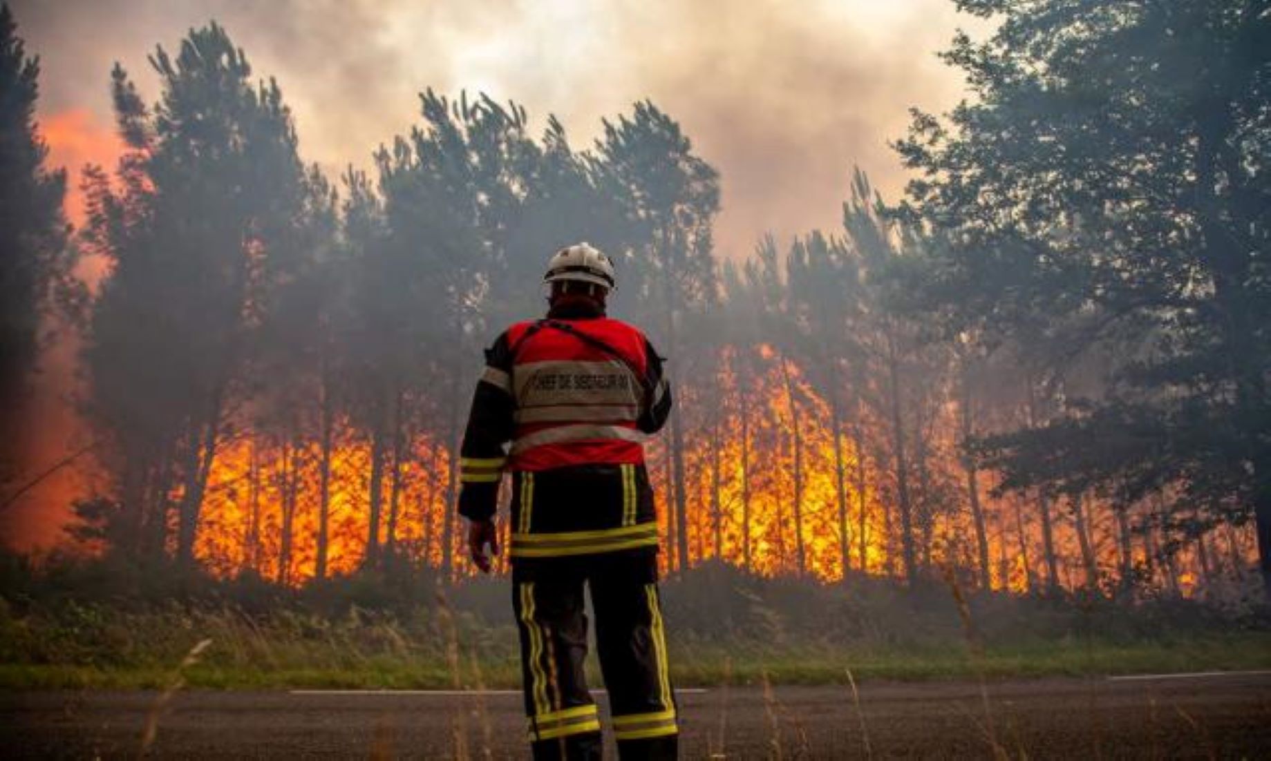 Wildfires Stretching Across Spain As Heatwave Continues