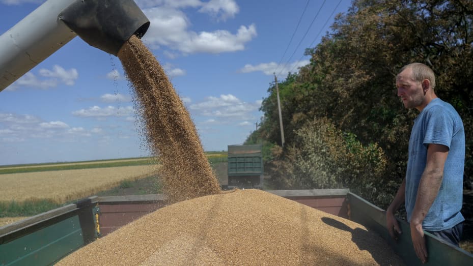 Russia-Ukraine ‘grain export’ pact: AU hails breakthrough