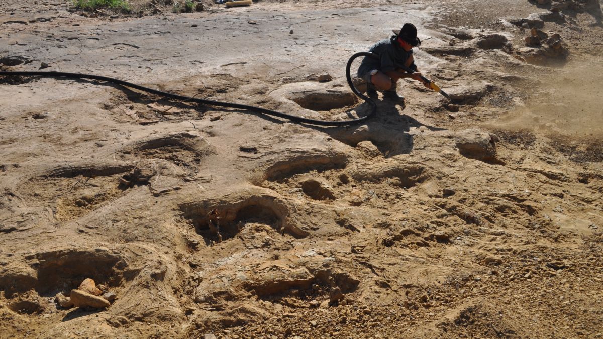 Over a thousand dinosaur footprints discovered in small Chilean town