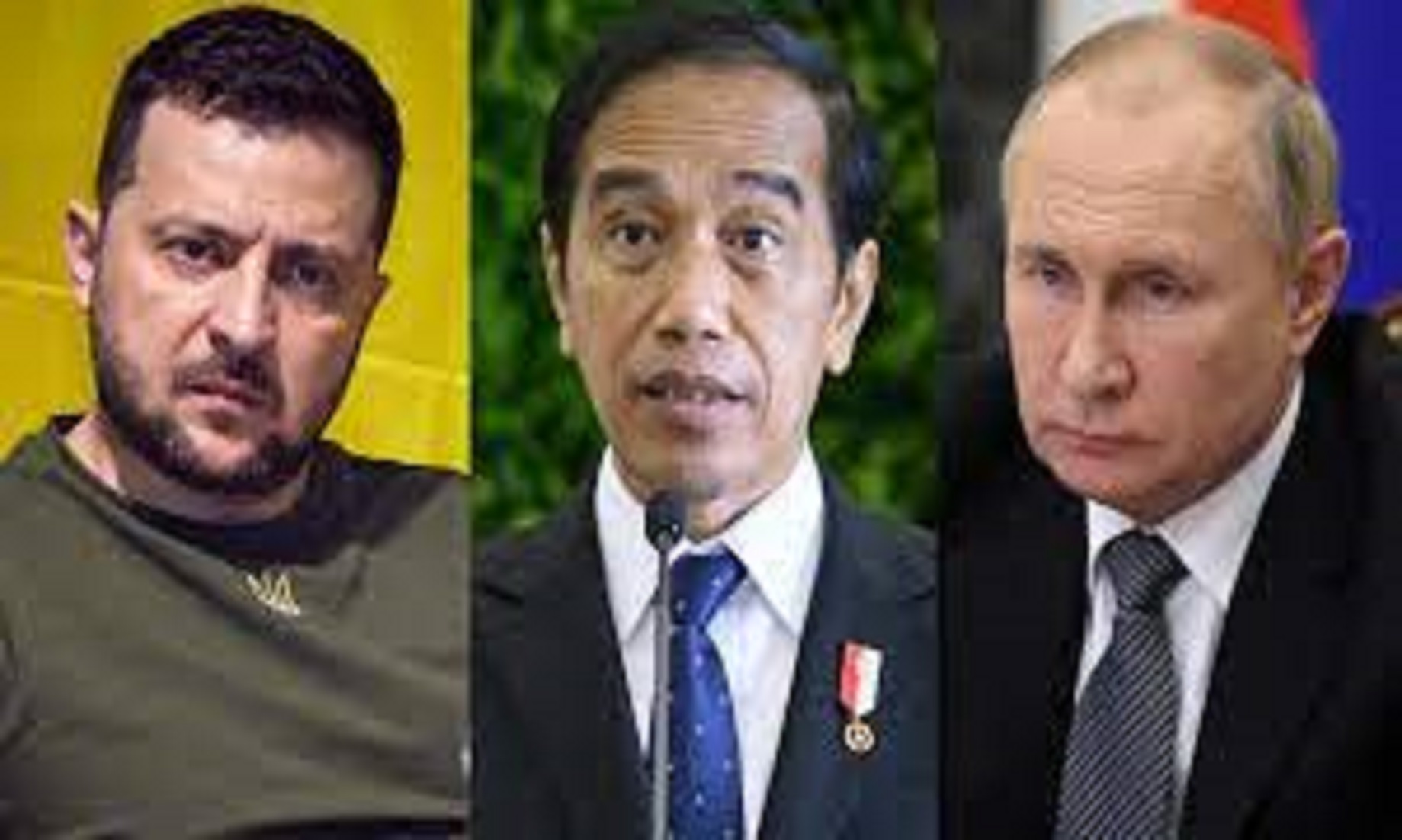 Russian, Indonesian Presidents Discussed Ukraine, Food Supplies