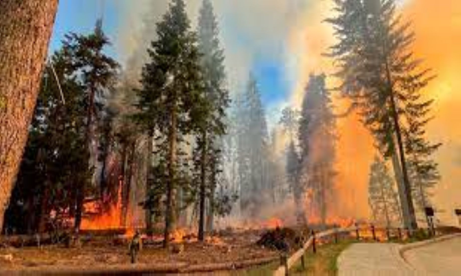 California’s Wildfire Burning Rapidly Near Yosemite National Park