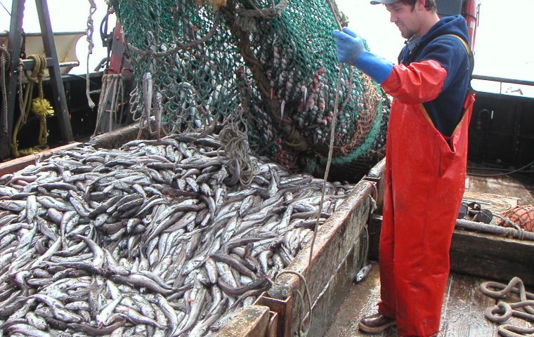 Argentina and Uruguay agree on temporary ban to hake fishing