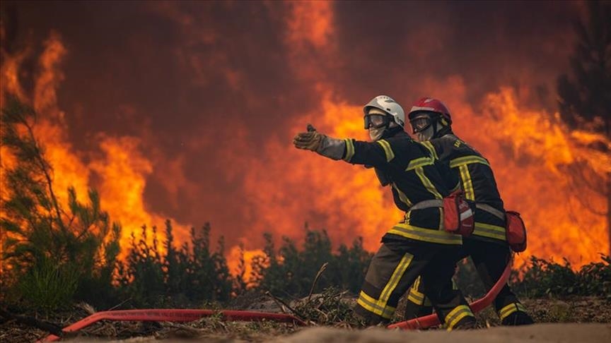 WHO says heatwave caused 1,700 deaths in Spain, Portugal