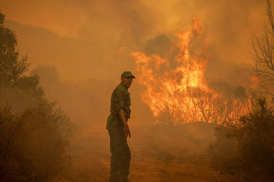 Two killed in Morocco forest fires