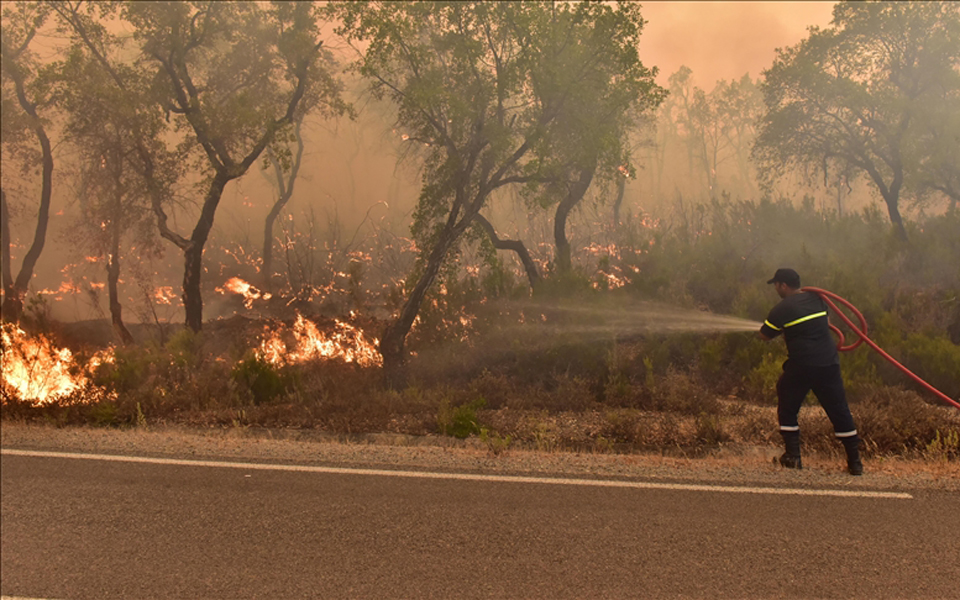 Morocco steps up efforts to contain forest fires sweeping across north