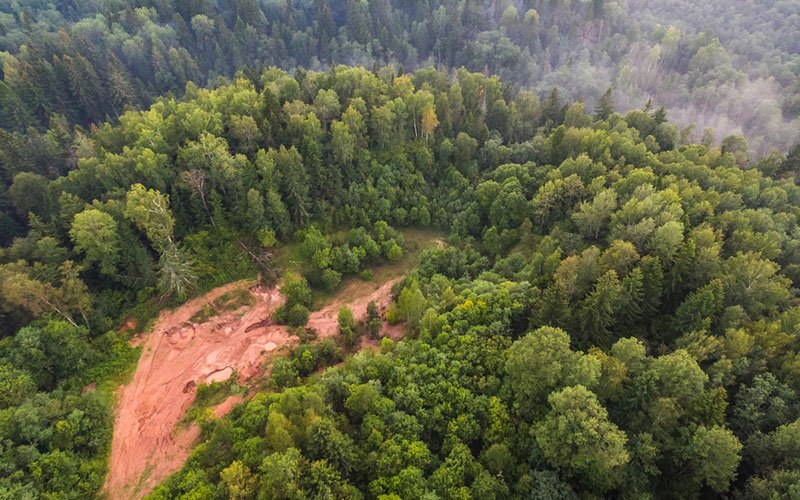 Deforestation in Brazil’s Amazon hits record for first half of 2022