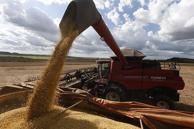 Brazil Forecasted 2021-2022 Grain Output At 272.5 Million Tonnes