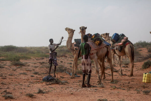 Pope urges help for drought-hit Somalia