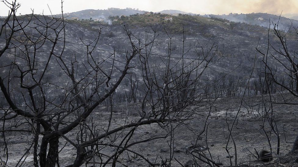 Algeria forest fires: At least 26 dead, minister says