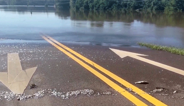 US climate crisis: Jackson, Mississippi has ‘no water to drink or flush toilets’