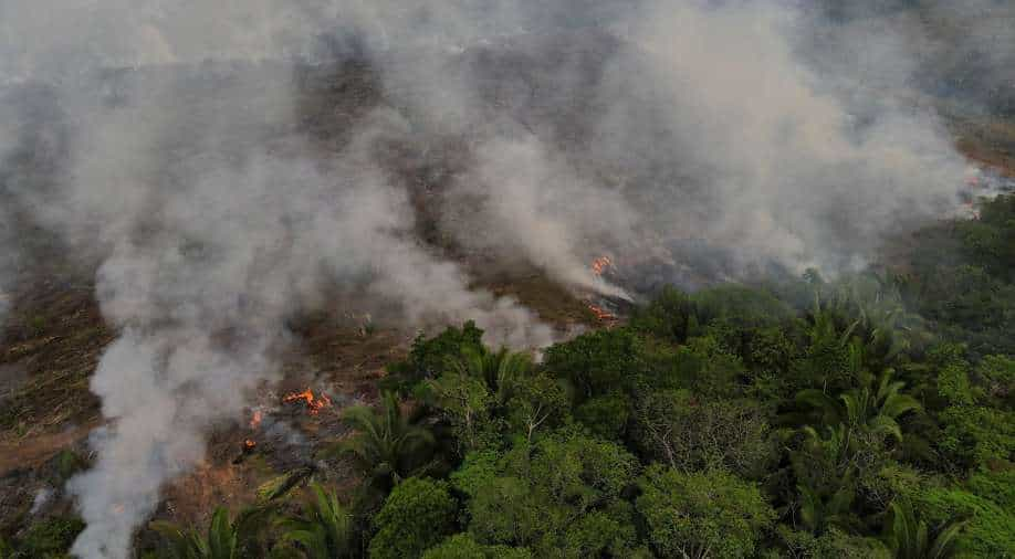 Brazil records worst day for Amazon fires in 15 years