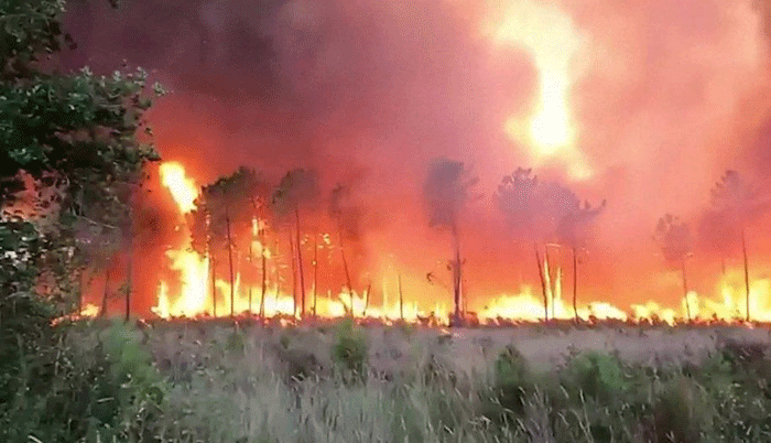 Portugal wildfires: State of alert begins amid third heatwave