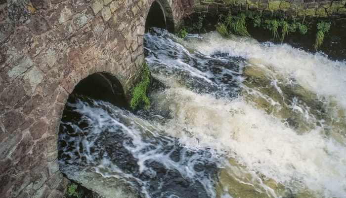 Sewage in sea: French appeal to EU over UK discharges of waste