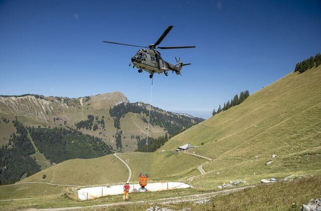 Heatwaves: Swiss army airlifts water to thirsty animals in Alpine meadows