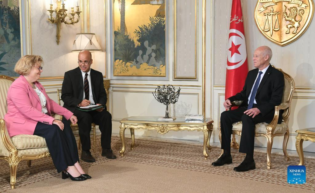 Tunisian president voices discontent over US interference in internal affairs